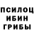 Псилоцибиновые грибы прущие грибы Evgeniy Emtsov
