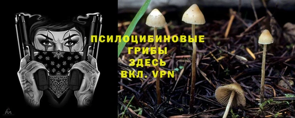 MDMA Богородицк