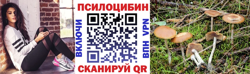 Псилоцибиновые грибы Magic Shrooms  Купить  Дегтярск 